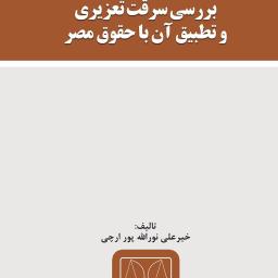 بررسی سرقت تعزیری و تطبیق آن با حقوق مصر