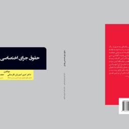 حقوق جزای اختصاصی رایانه ای